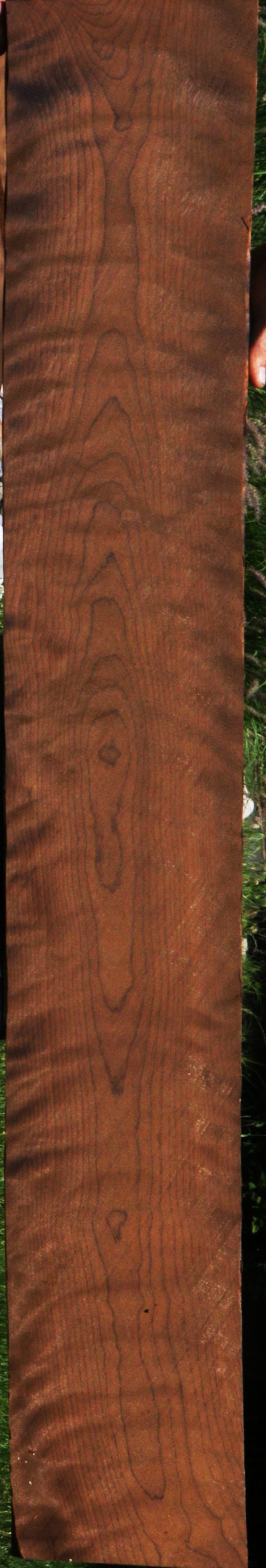 Extra Fancy Baked Birch Lumber Online