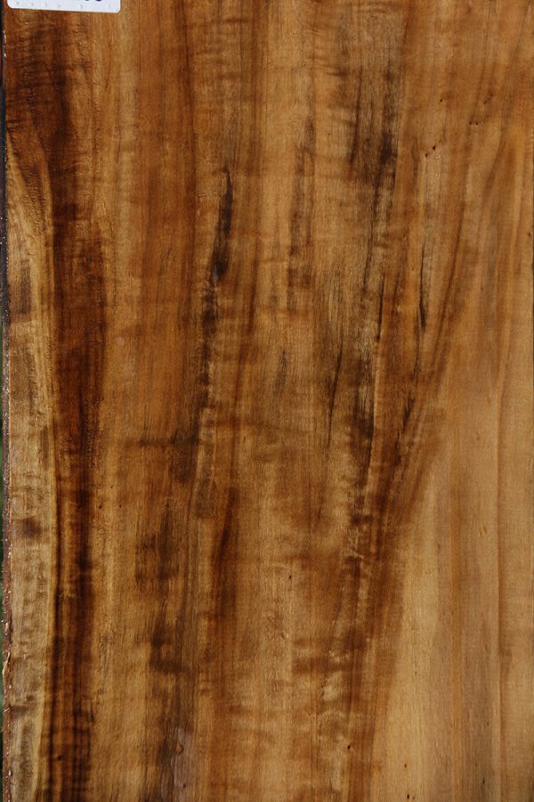 Extra Fancy Fiddleback French Poplar Lumber Discount - Image 3