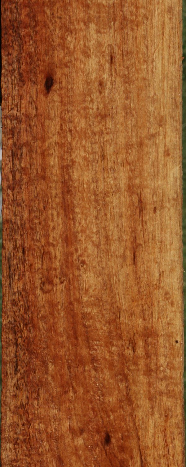 Hawaiian Koa Live Edge Micro Lumber For Sale - Image 5
