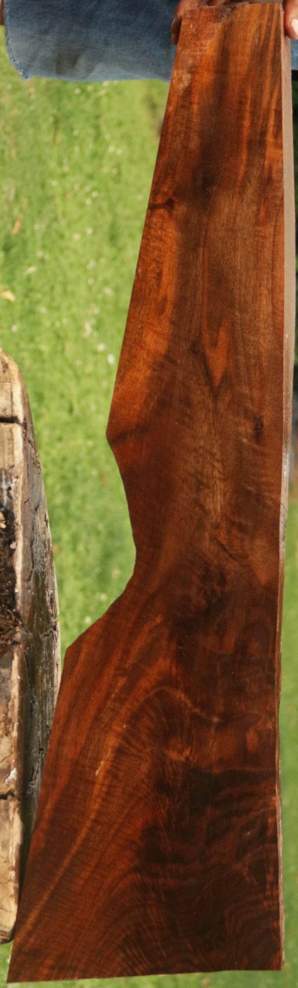 Exhibition Feathered Crotchwood Claro Walnut Gun Blank Online - Image 2