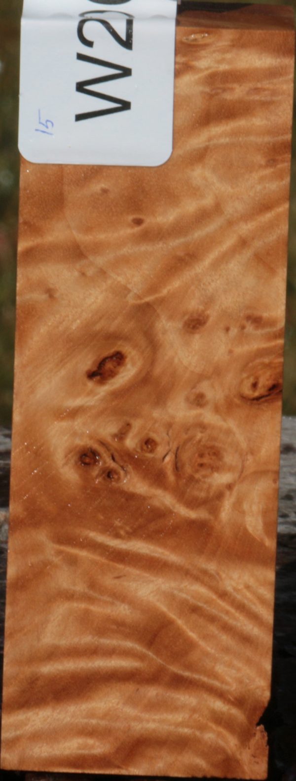 California Cottonwood Burl Knife Blank Online Hot Sale - Image 2