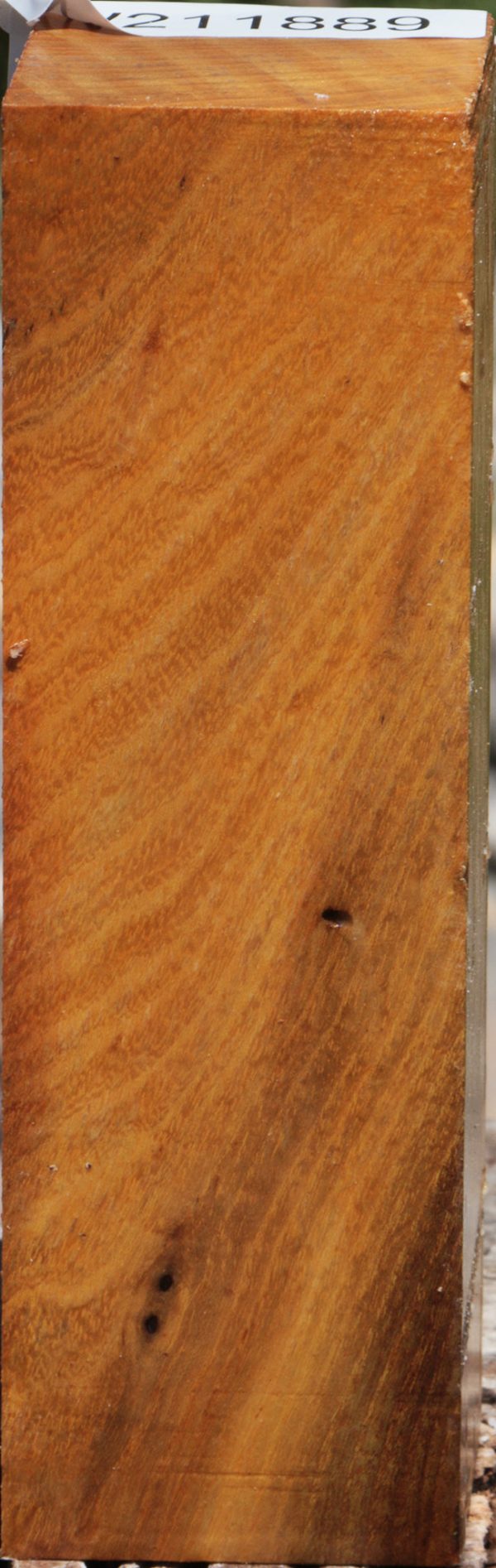 Osage Orange Turning Square Cheap