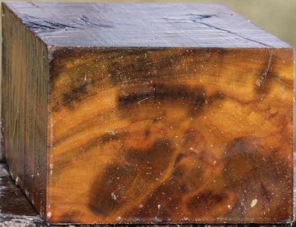 Camphor Burl Bowl Blank For Cheap - Image 5