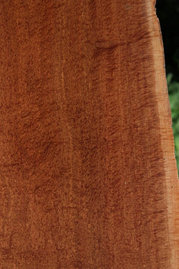 Exhibition Grade Pomelle Sapele Slab Online now - Image 2