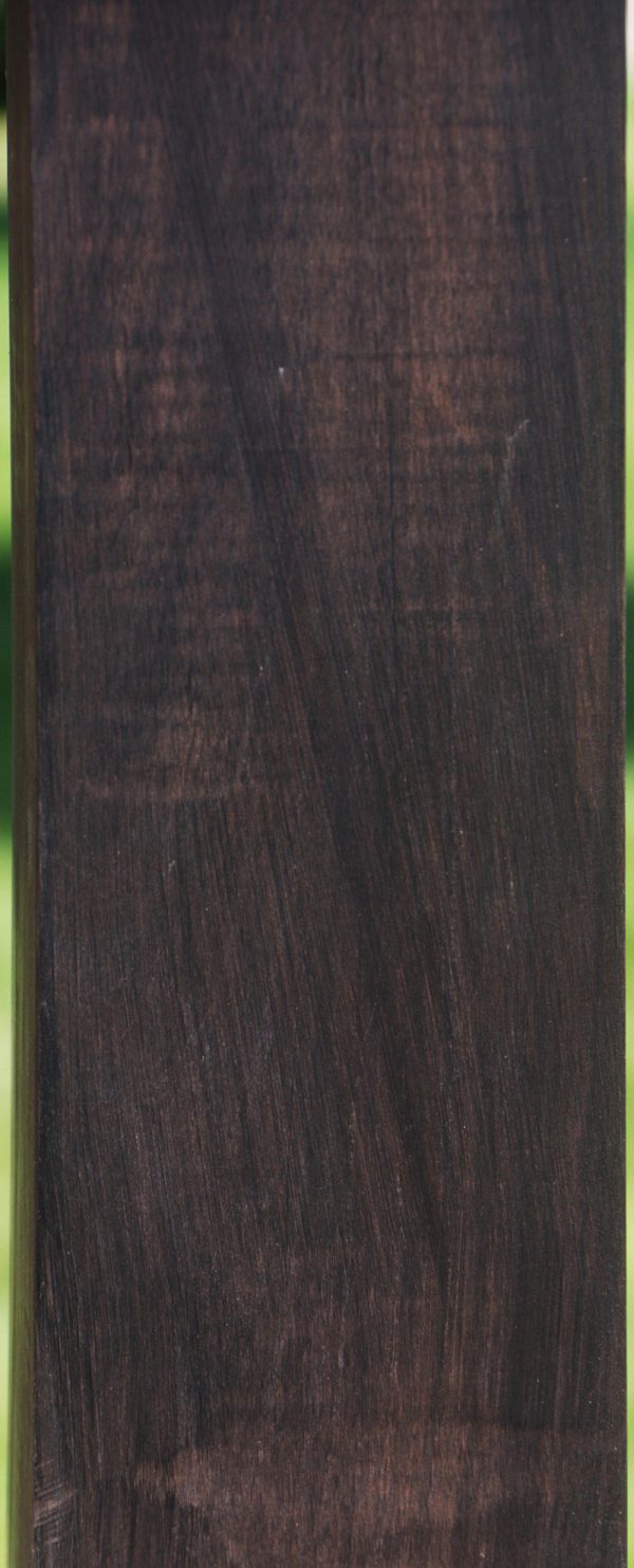 African Blackwood Instrument Blank Fashion - Image 3