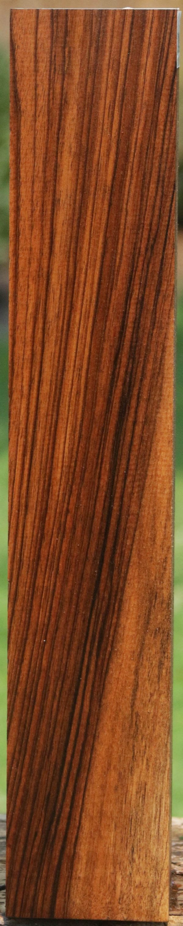 AAA+ English Walnut Forend Online Hot Sale - Image 2