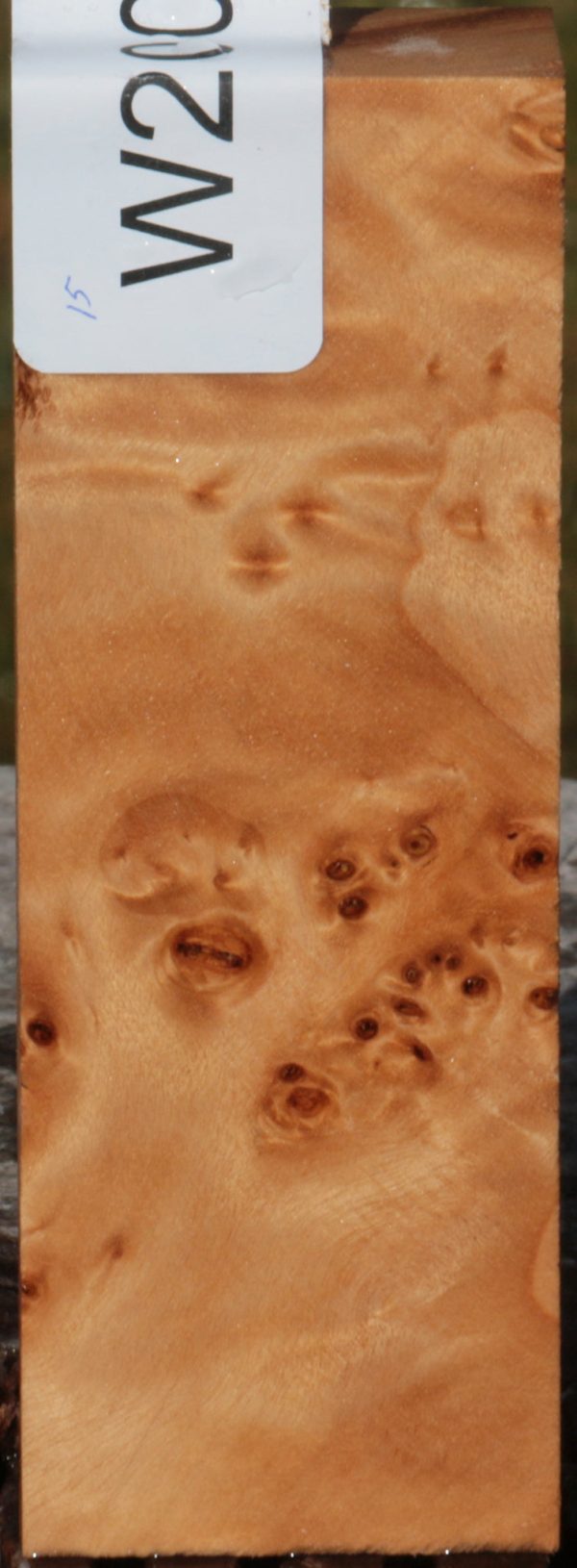 California Cottonwood Burl Knife Blank Online now - Image 2
