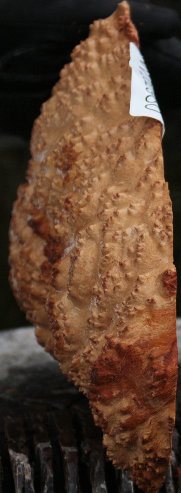 Red Mallee Burl Cap For Sale - Image 2