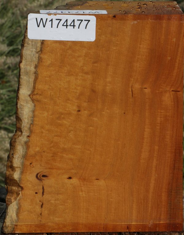 Mirindiba Live Edge Turning Blank Online Sale