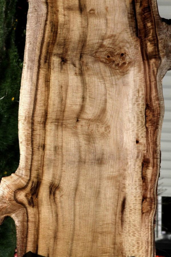 Exhibition Fiddleback  Myrtle Lumber Sale - Image 4