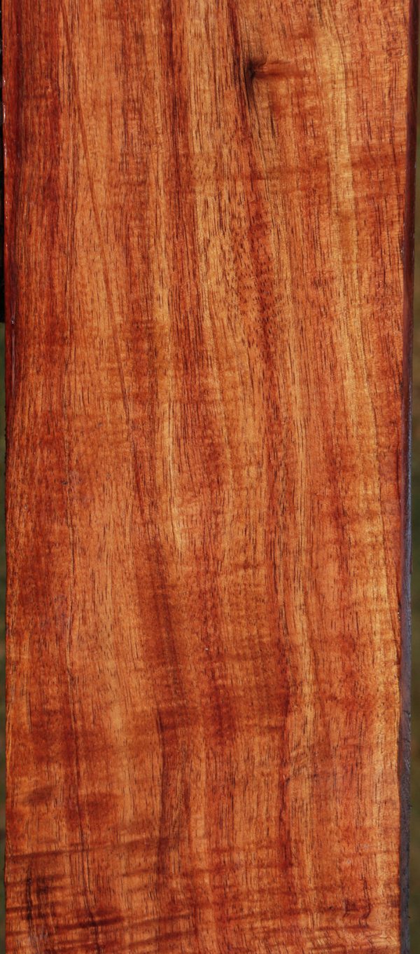 Extra Fancy Quartersawn Hawaiian Koa Instrument Lumber For Discount - Image 5