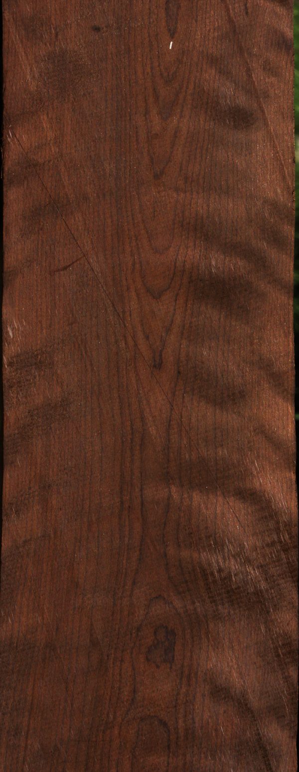 Extra Fancy Baked Birch Lumber Online - Image 3