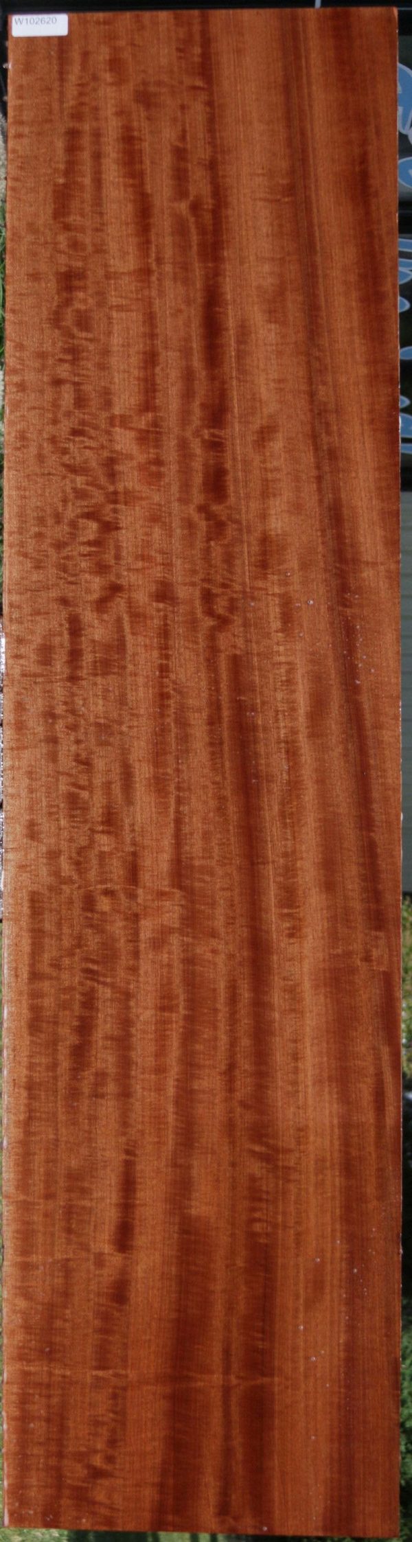Quartersawn XF Figured Curly African Makore Lumber (Guitar Billet) Supply