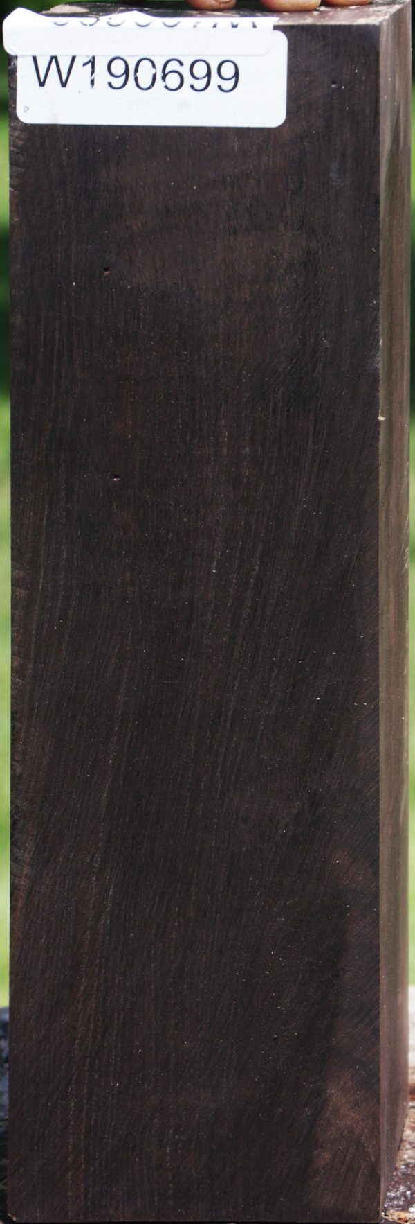 African Blackwood Instrument Blank Online now