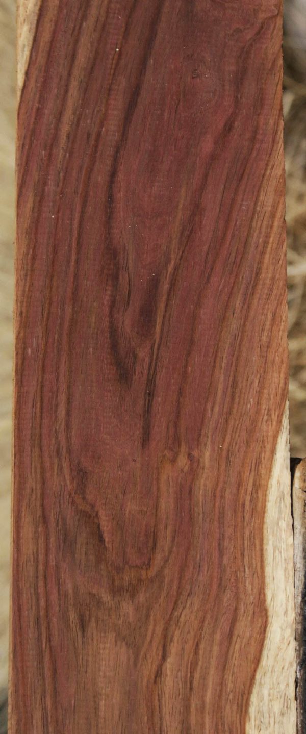 Panama Rosewood For Discount - Image 4