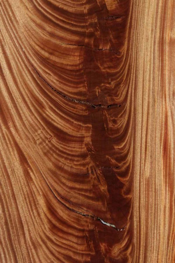 Feather Crotchwood Sipo Slab Hot on Sale - Image 4