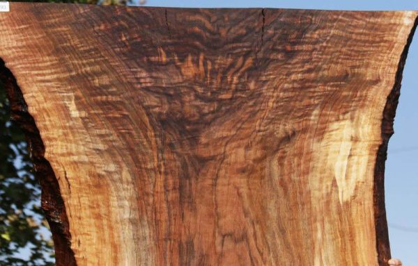 Extra Fancy Fiddleback Walnut Slab For Sale - Image 3