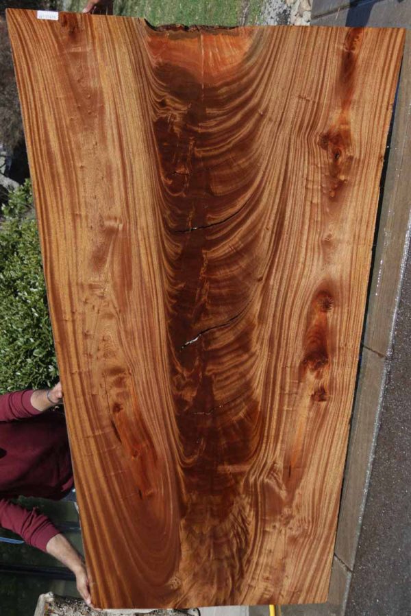 Feather Crotchwood Sipo Slab Hot on Sale - Image 2