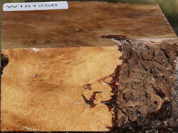Extra Fancy Kanista Live Edge Bowl Blank For Discount - Image 3