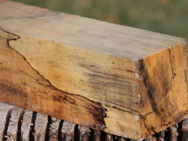 Extra Fancy Spalted Tamarind Peppermill Online Sale - Image 5