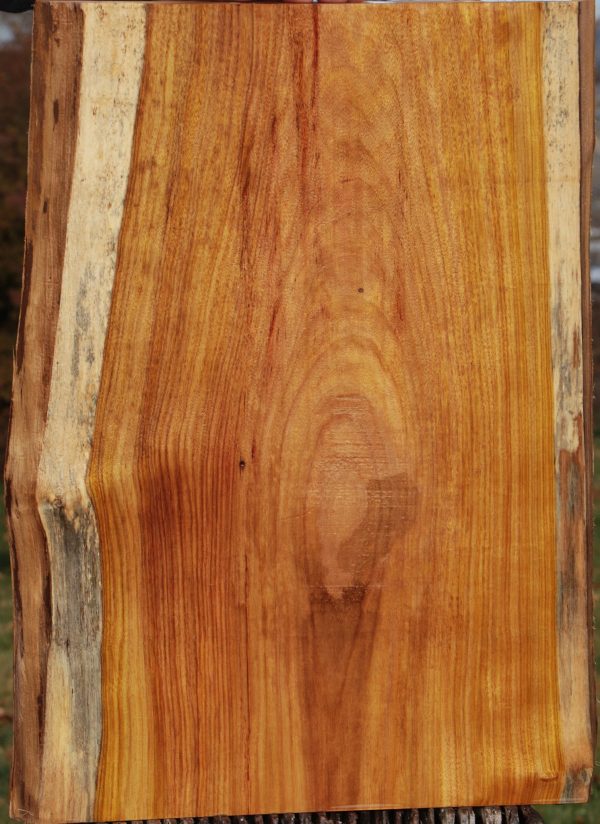 Canary Live Edge Lumber Online - Image 2