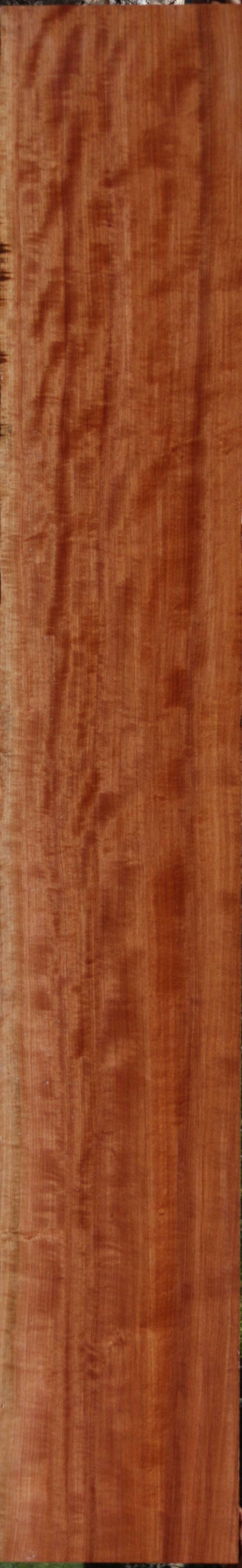Figured African Makore Lumber Discount