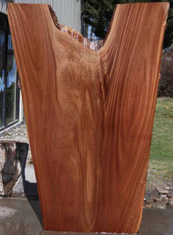 Crotchwood Sipo Slab Fashion - Image 2