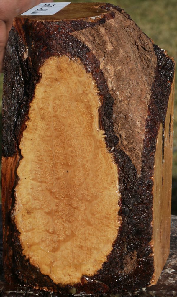 Extra Fancy Kanista Live Edge Turning Square Fashion - Image 3