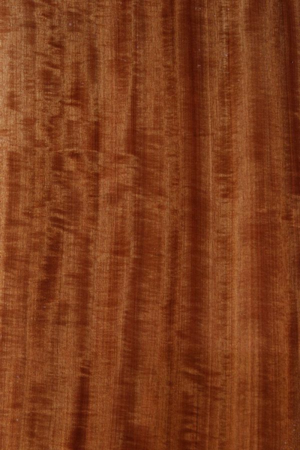 Quartersawn XF Figured Curly African Makore Lumber (Guitar Billet) Supply - Image 3
