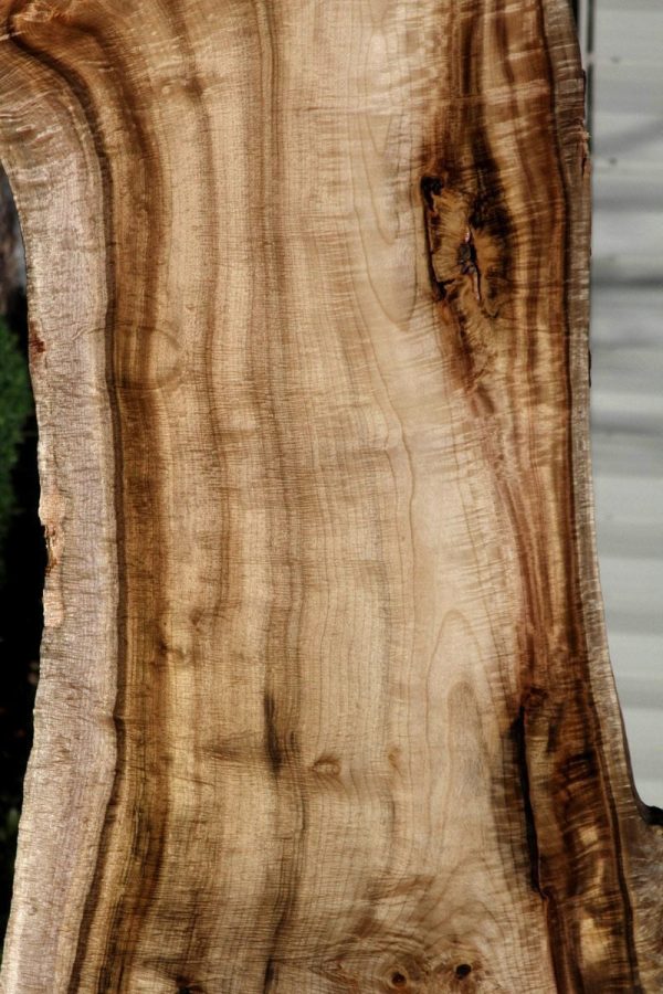 Exhibition Fiddleback  Myrtle Lumber Sale - Image 3