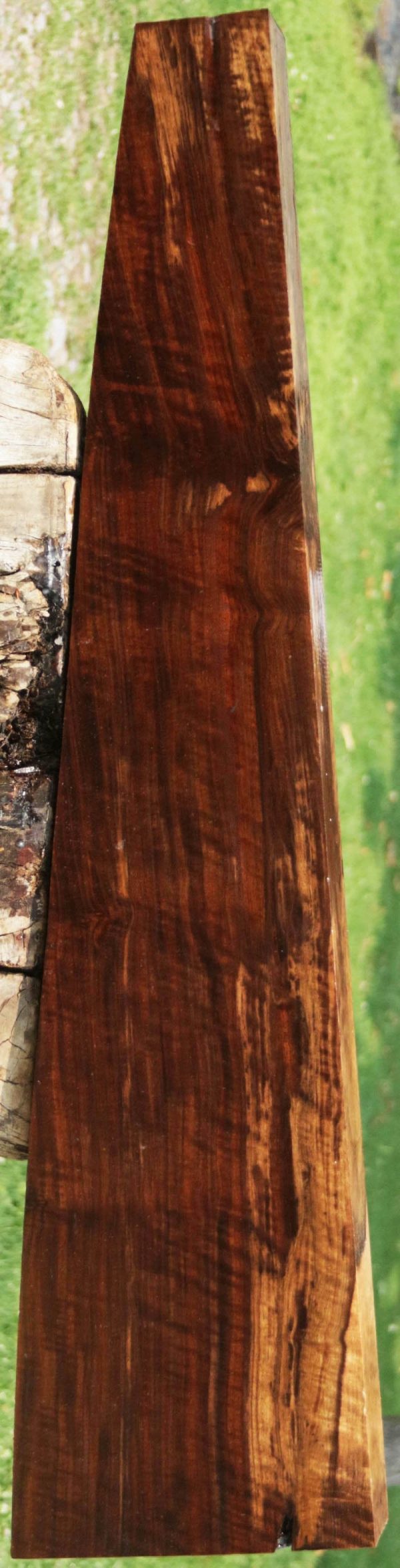 AAA+ Claro Walnut Gun Blank Sale - Image 2
