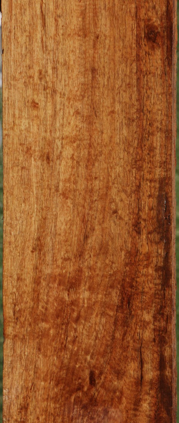 Hawaiian Koa Live Edge Micro Lumber For Sale - Image 3