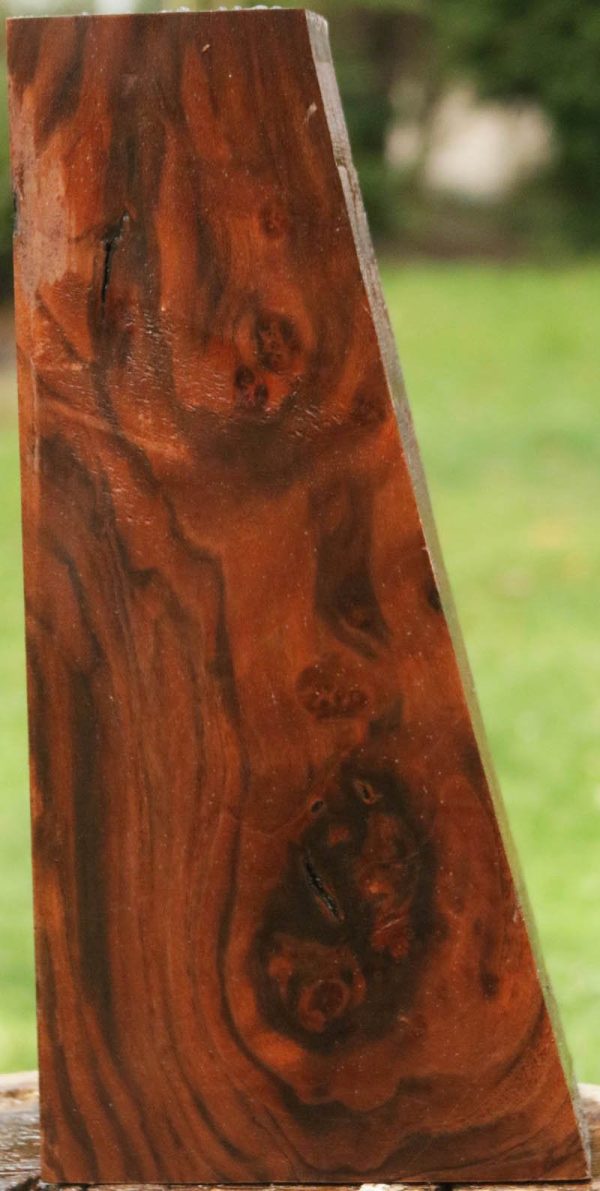AA+ Claro Walnut Gun Blank For Discount - Image 2