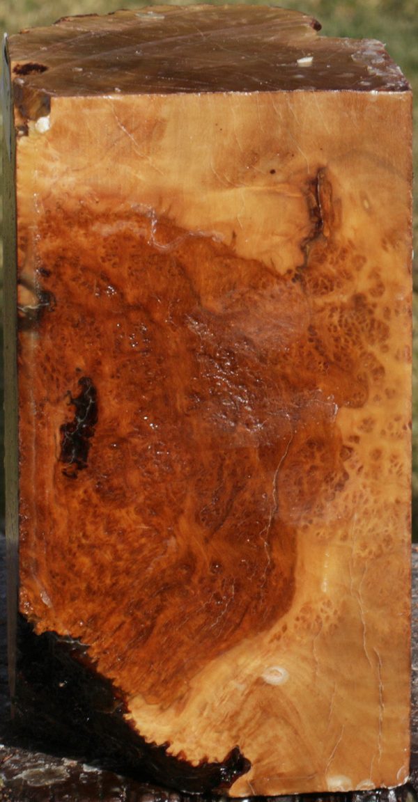 Kanista Live Edge Turning Blank For Discount - Image 2