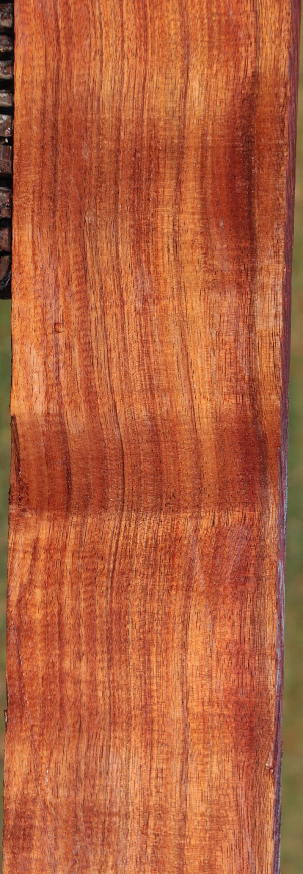 Quartersawn Fiddleback Hawaiian Koa Instrument Lumber Online - Image 4