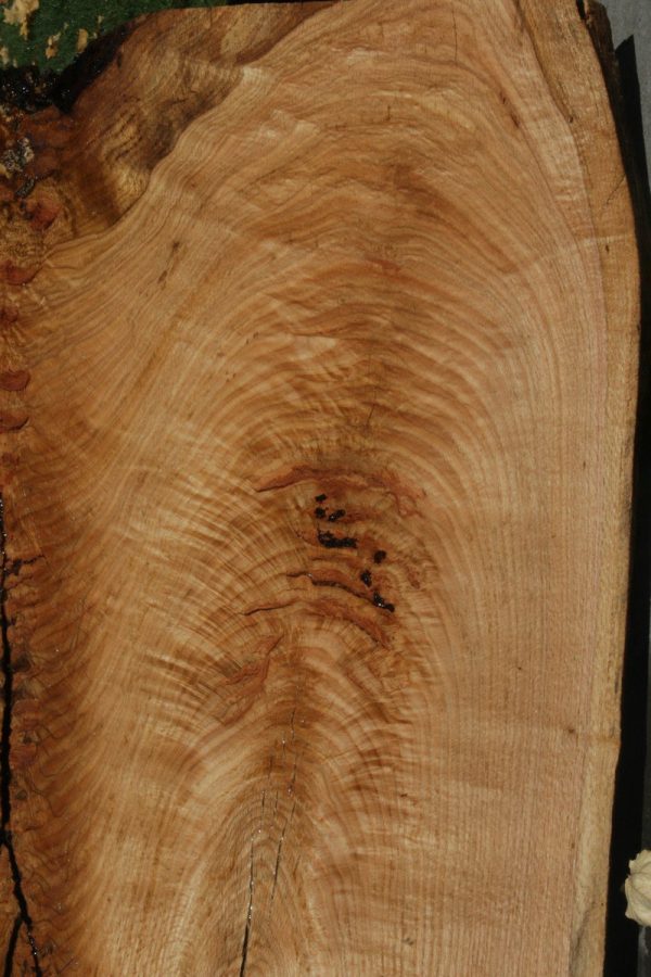 Rustic Oak Slab Discount - Image 3