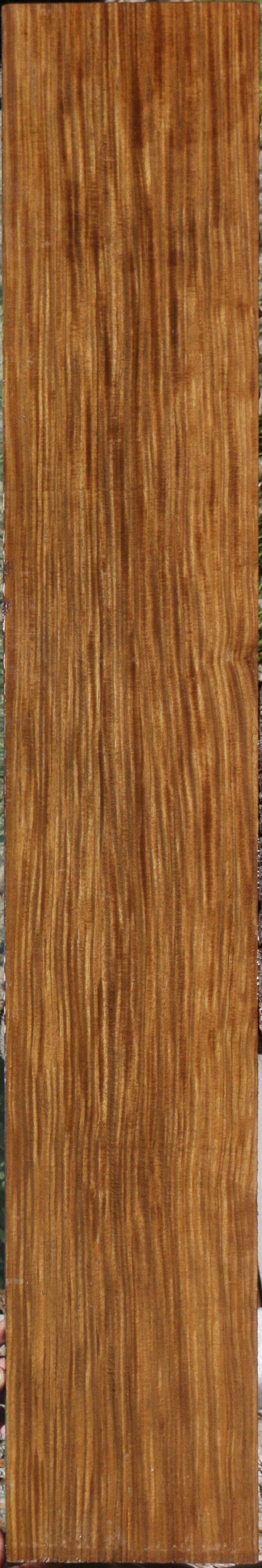 Extra Fancy Quartersawn Afrormosia Lumber For Cheap - Image 4
