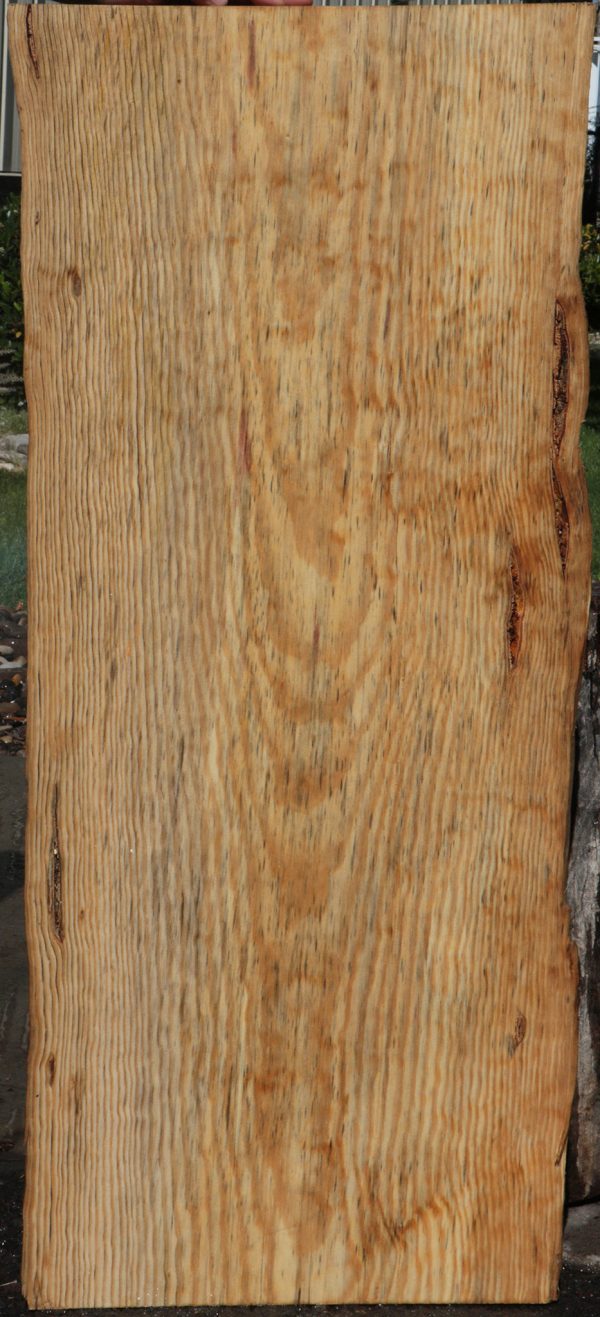 Rustic Blue Pine Slab Cheap