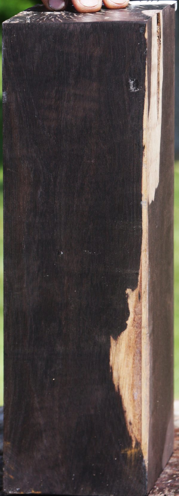 African Blackwood Instrument Blank Online now - Image 3