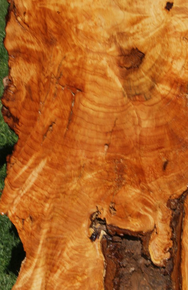 Rustic Port Orford Cedar Live Edge Cookie (Freight Shipping Required) For Discount - Image 4
