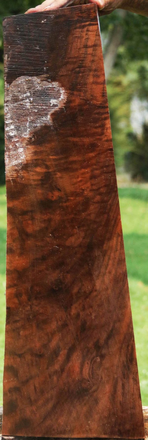Exhibition Claro Walnut Gun Blank For Sale - Image 2