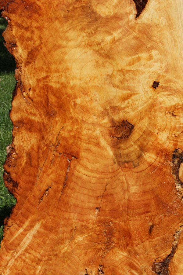 Rustic Port Orford Cedar Live Edge Cookie (Freight Shipping Required) For Discount - Image 3
