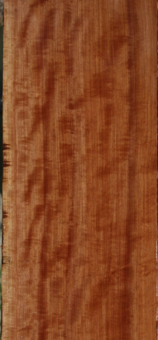 Figured African Makore Lumber Discount - Image 2