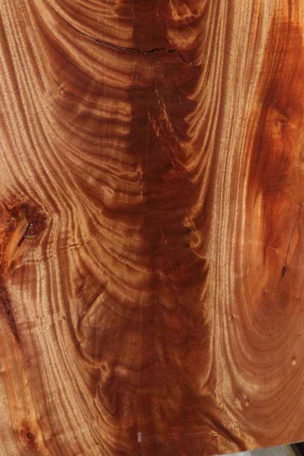 Feather Crotchwood Sipo Slab Hot on Sale - Image 3