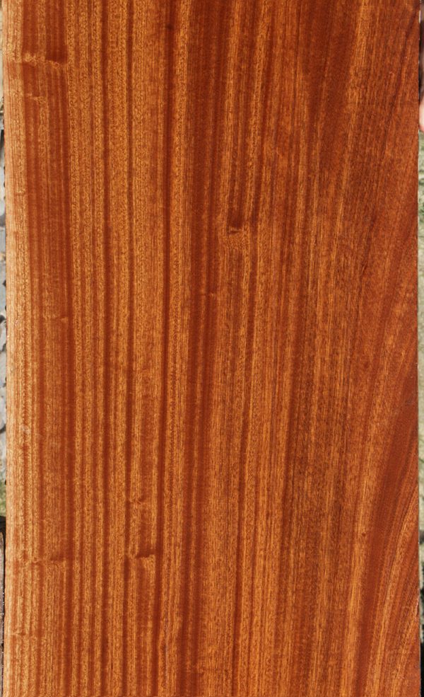 Ribbon Extra Fancy Sapele Micro Lumber Supply - Image 4