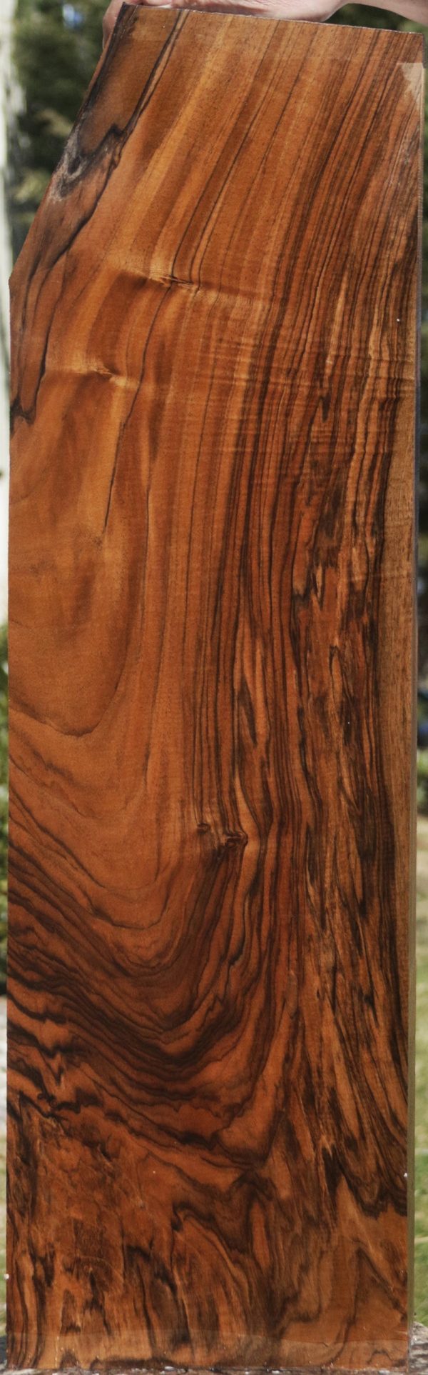English Walnut Gun Blank Discount - Image 5