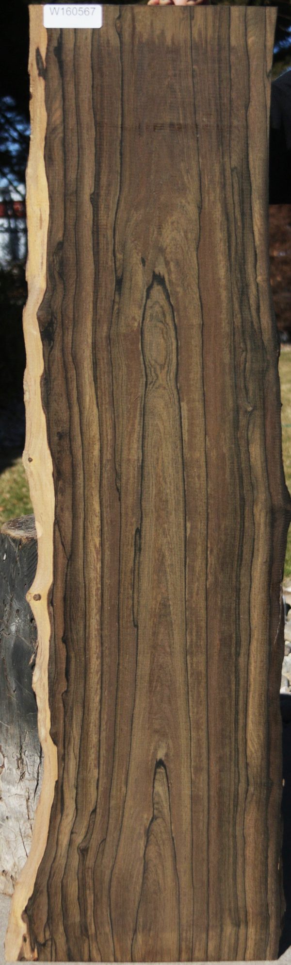 Exhibition Live Edge Ziricote Lumber Online now - Image 3