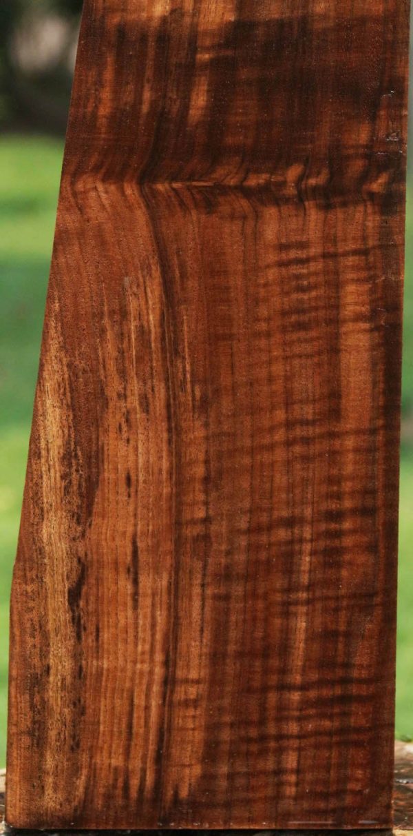 AAA+ Claro Walnut Gun Blank Online Hot Sale - Image 3