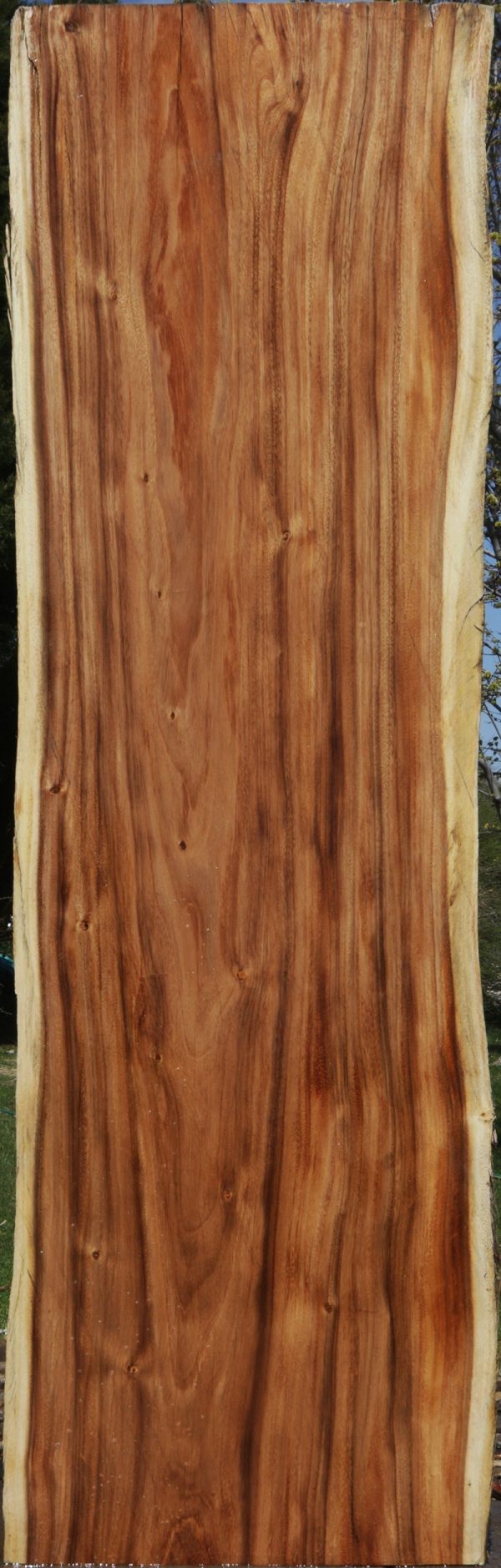 Monkeypod Live Edge Slab Hot on Sale