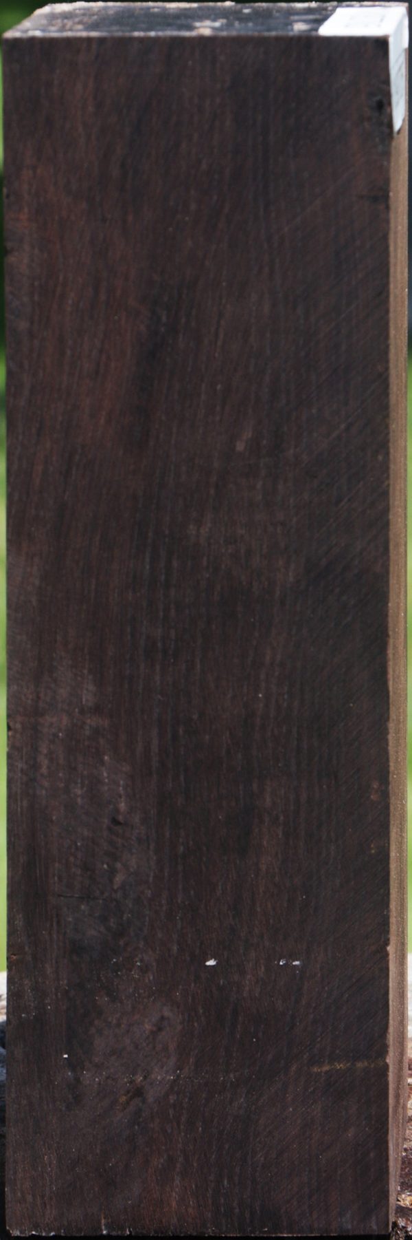 African Blackwood Instrument Blank Online now - Image 2